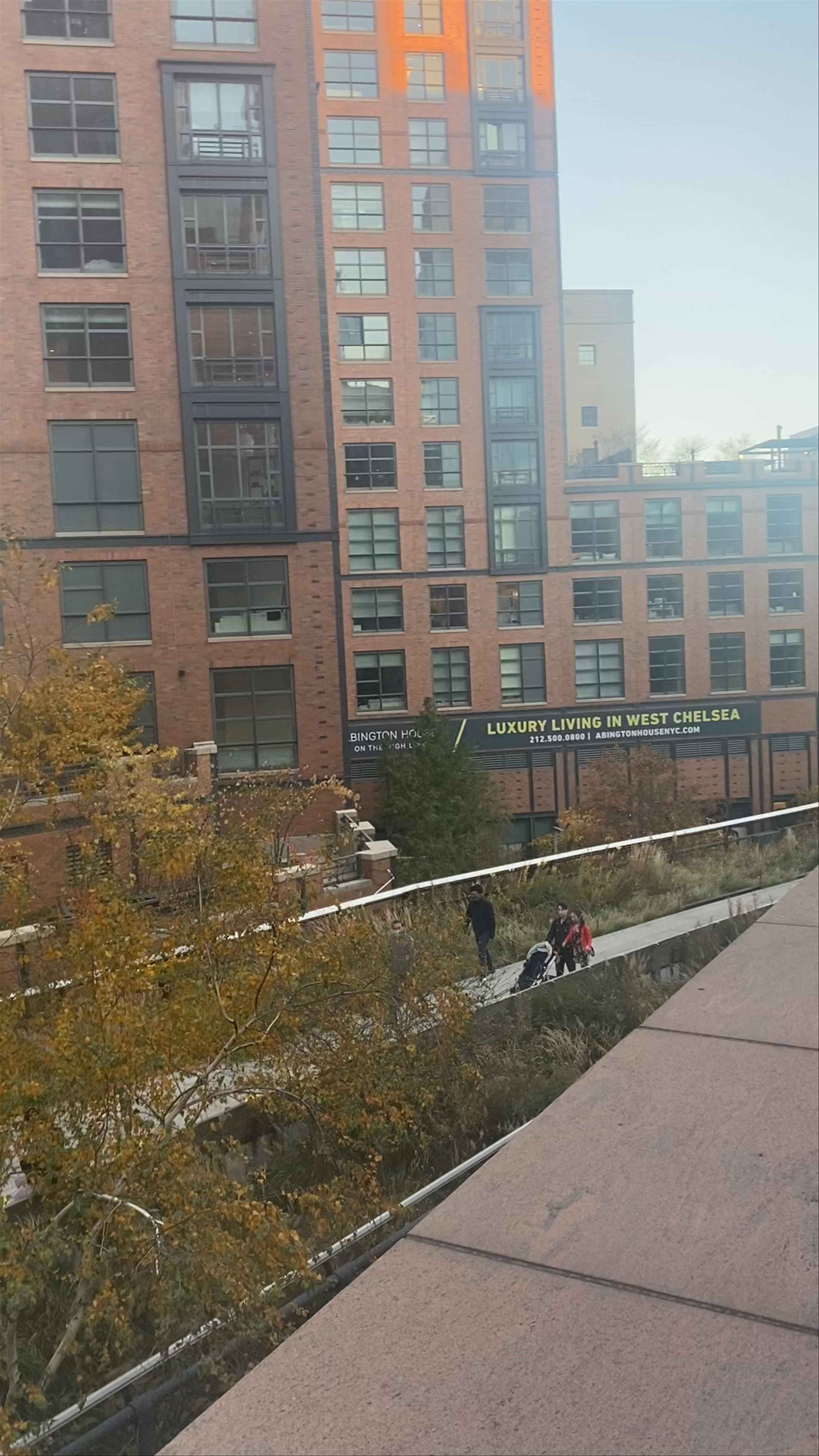 Strolling The High Line: Urban Green Escape in New York City