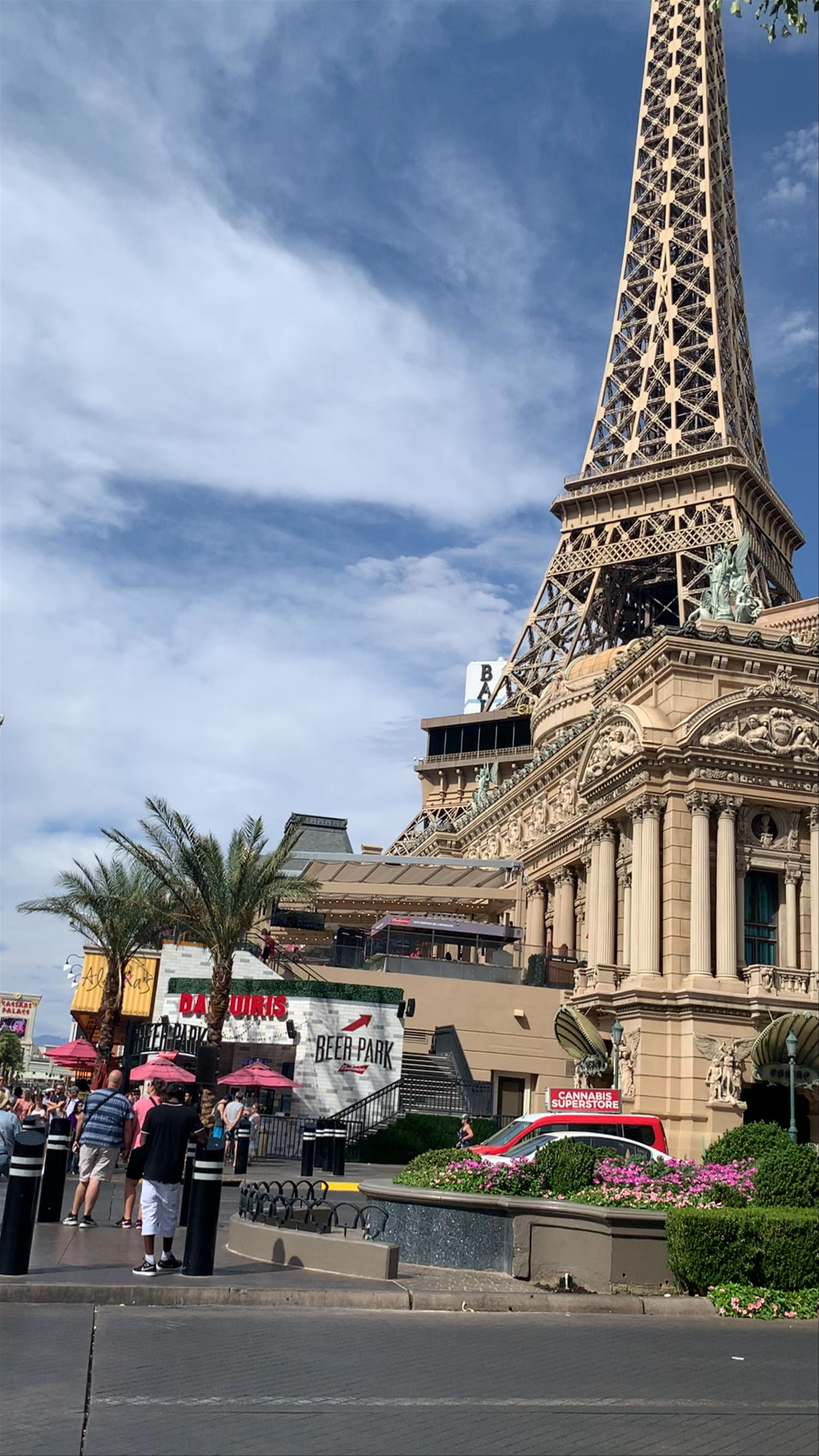 Experience the Vibrant Energy of the Las Vegas Strip
