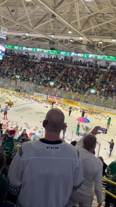 Florida Everblades - Video of people throwing stuffed animals onto the ice - Professional Sports Teams Near Me - Estero, Florida