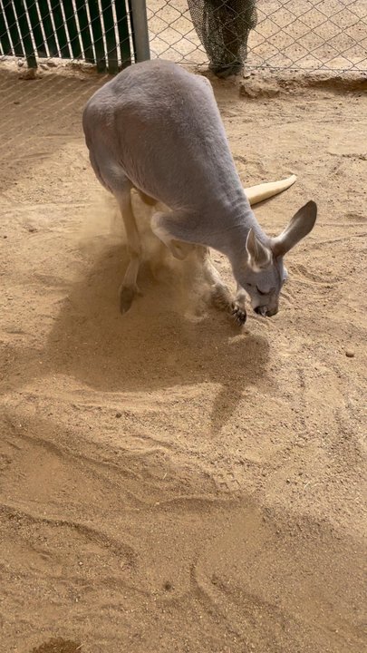 Video thumbnail 19 more videos