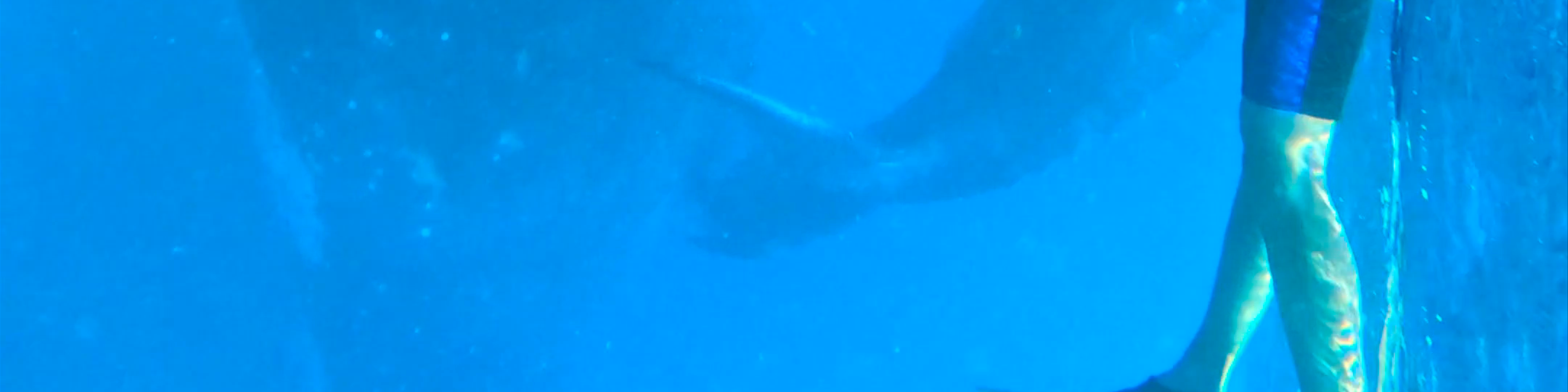 Tonga