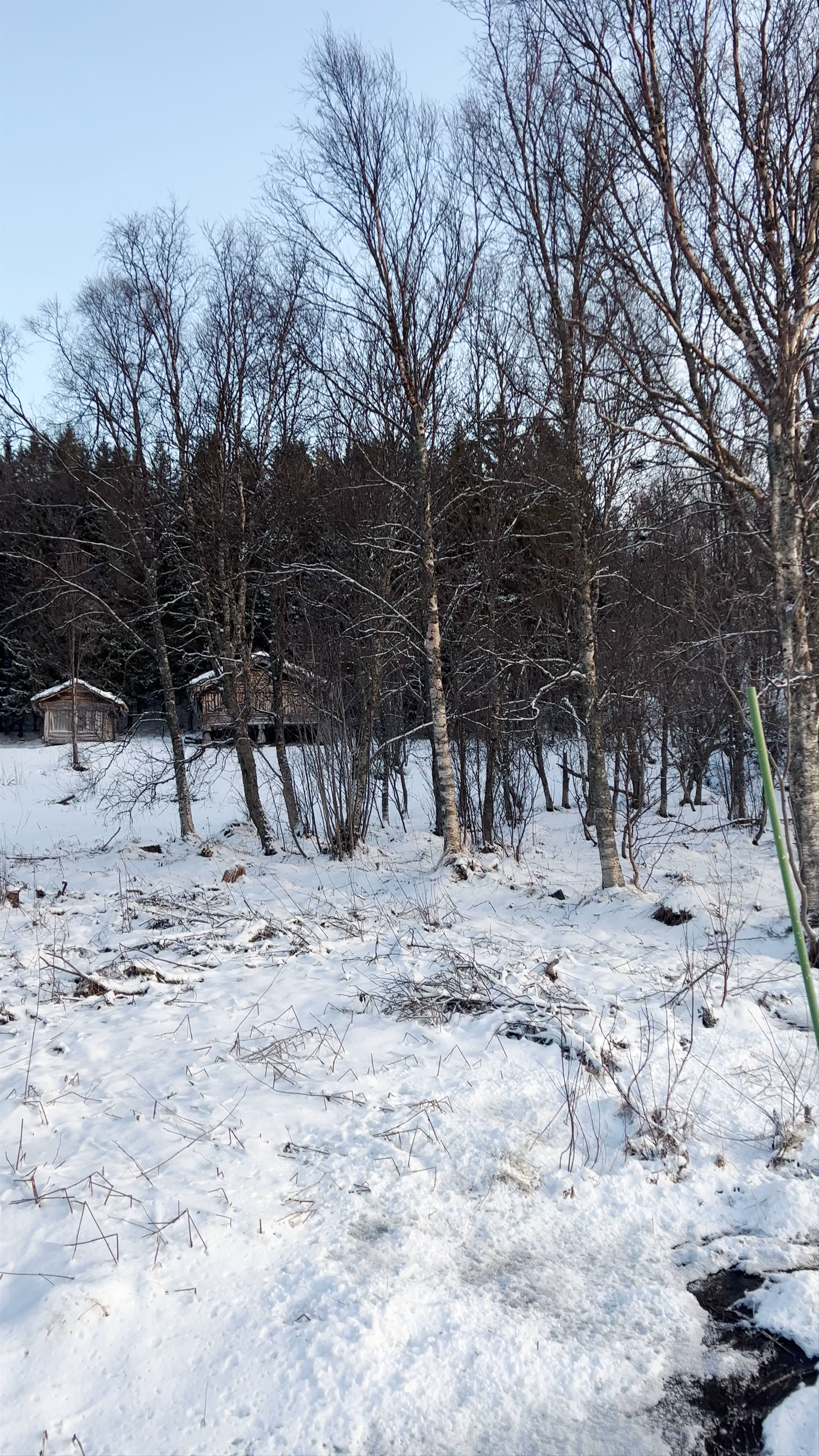 Winter Serenity at Mortengården, Tromsø, Norway