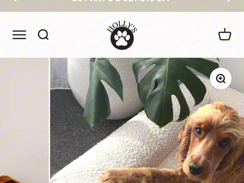 Pet Brand - Dog Bed