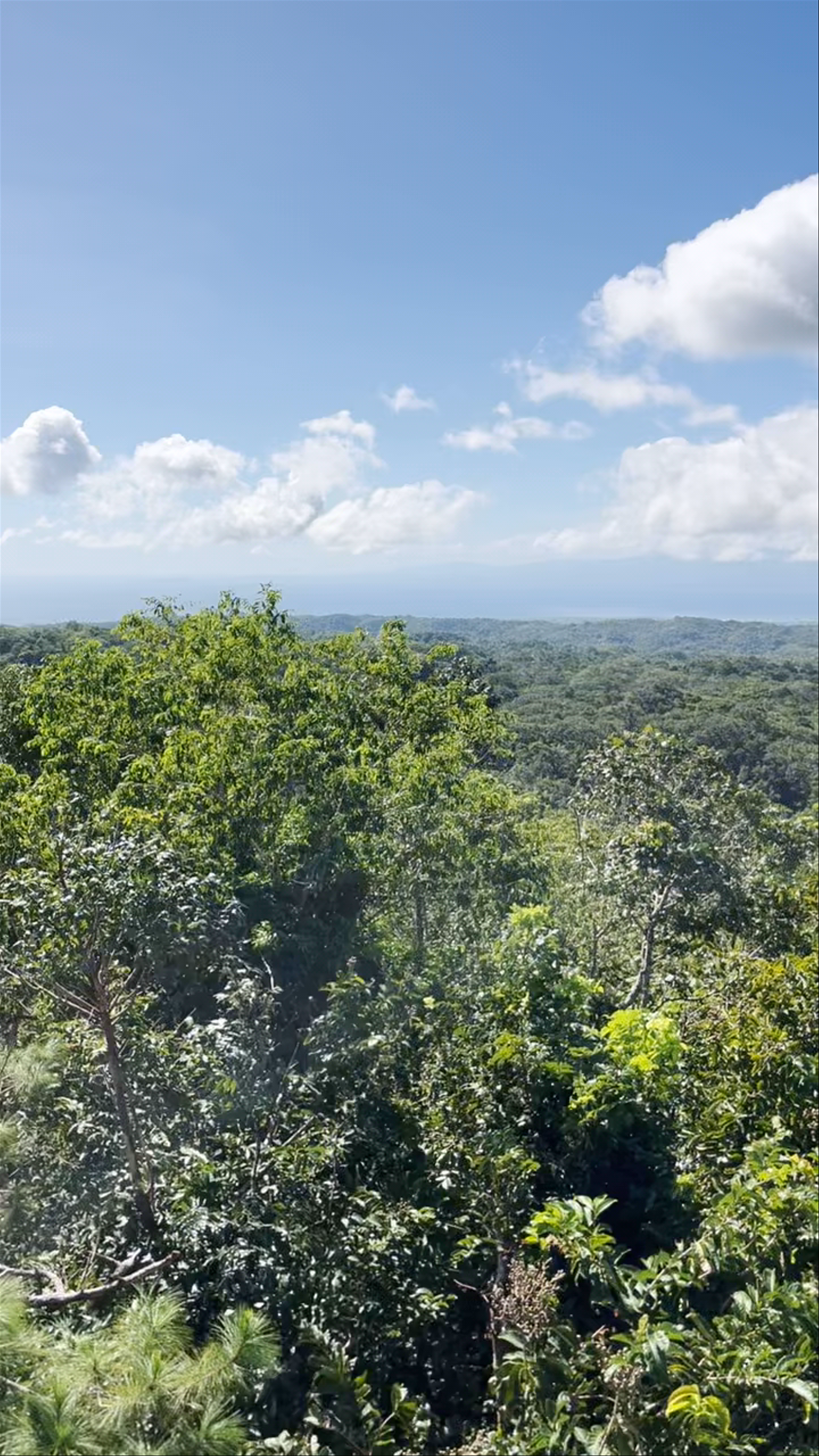 Mt. Bandilaan National Park: Panoramic Forest Views in Siquijor, Philippines