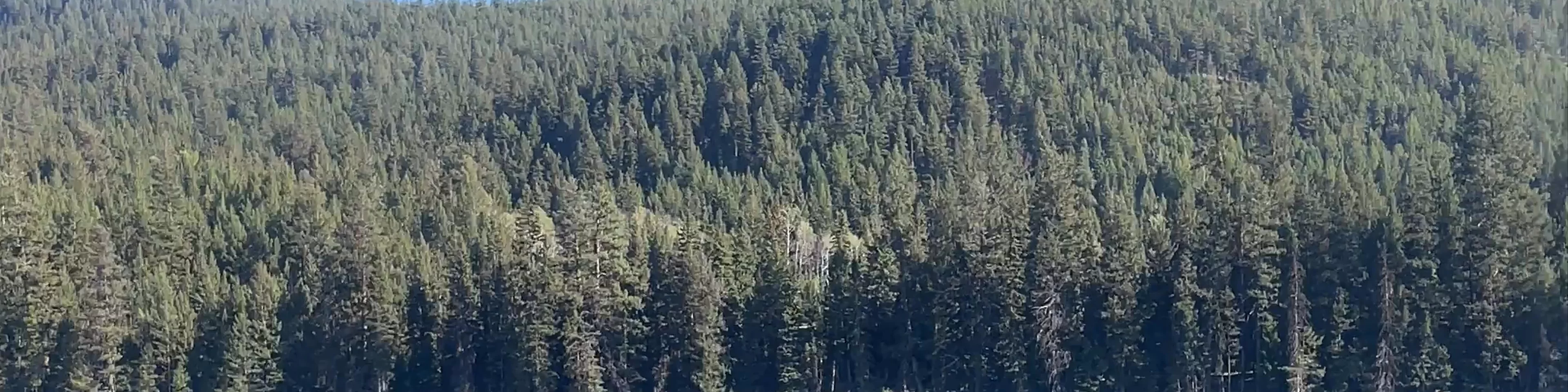Kane Lakes