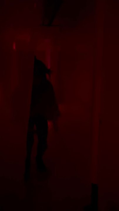 Blood Manor - Haunted Houses Near Me - New York, New York