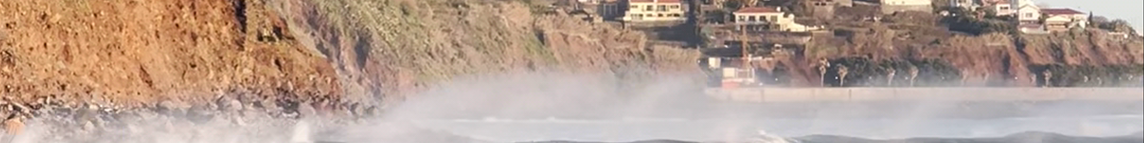 Tours & experiences in Câmara de Lobos