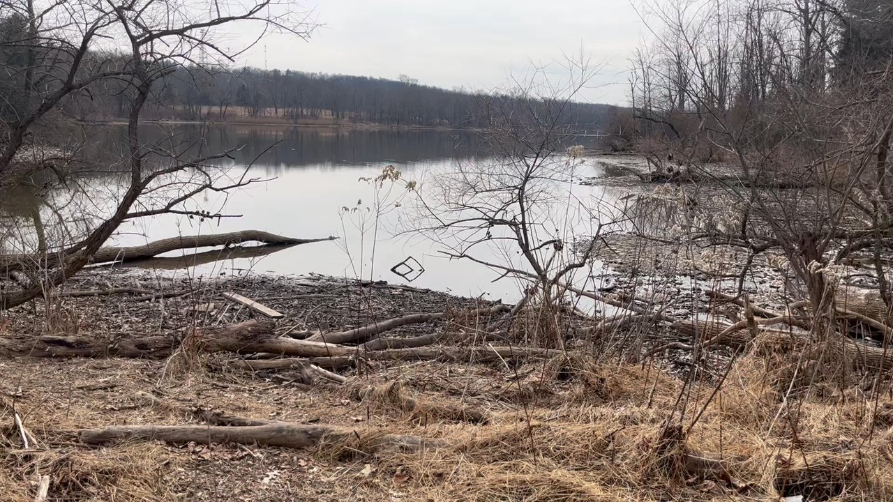 Peace Valley Nature Center - The lake - Education Near Me - Doylestown, Pennsylvania
