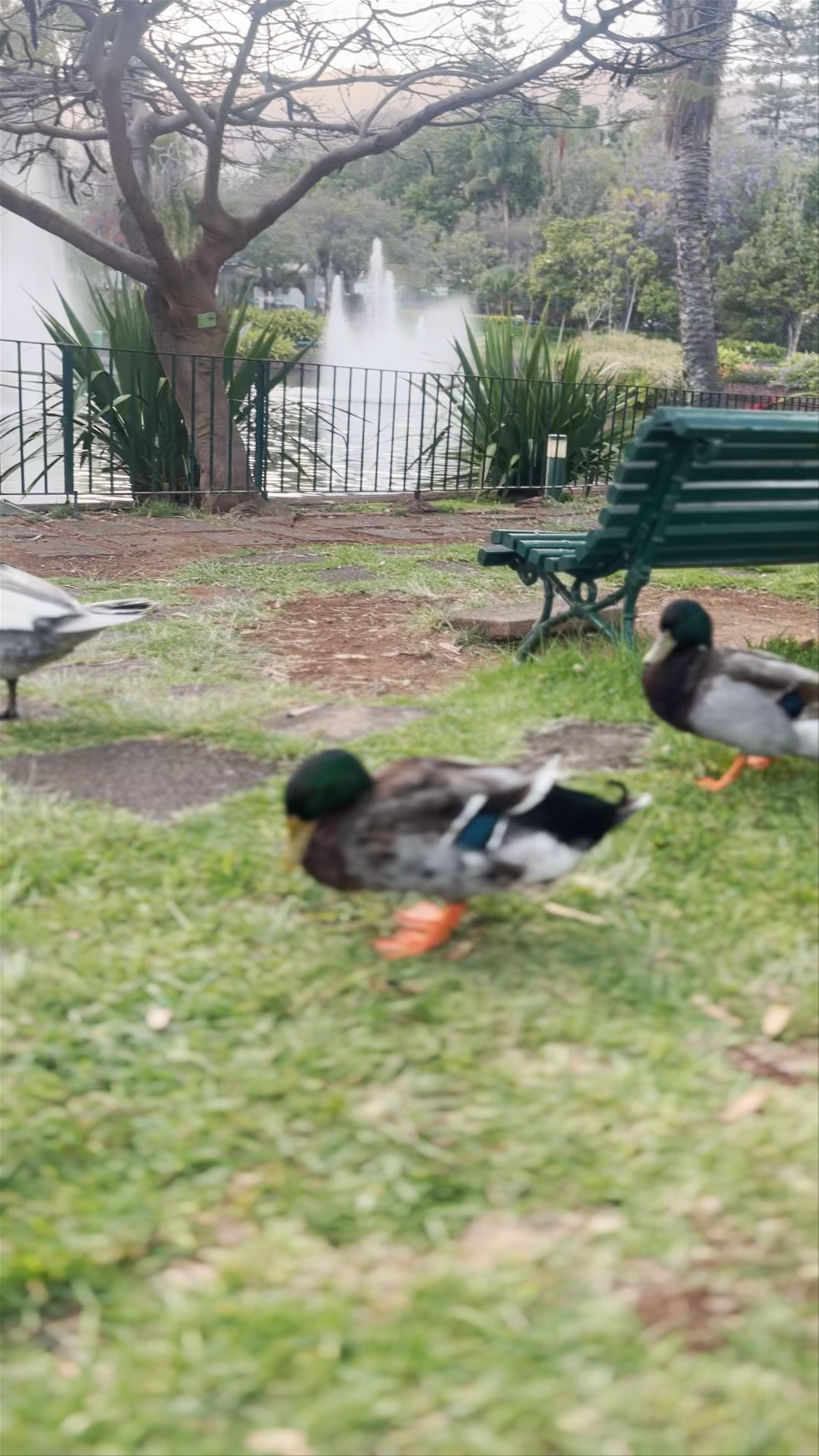 Parque de Santa Catarina