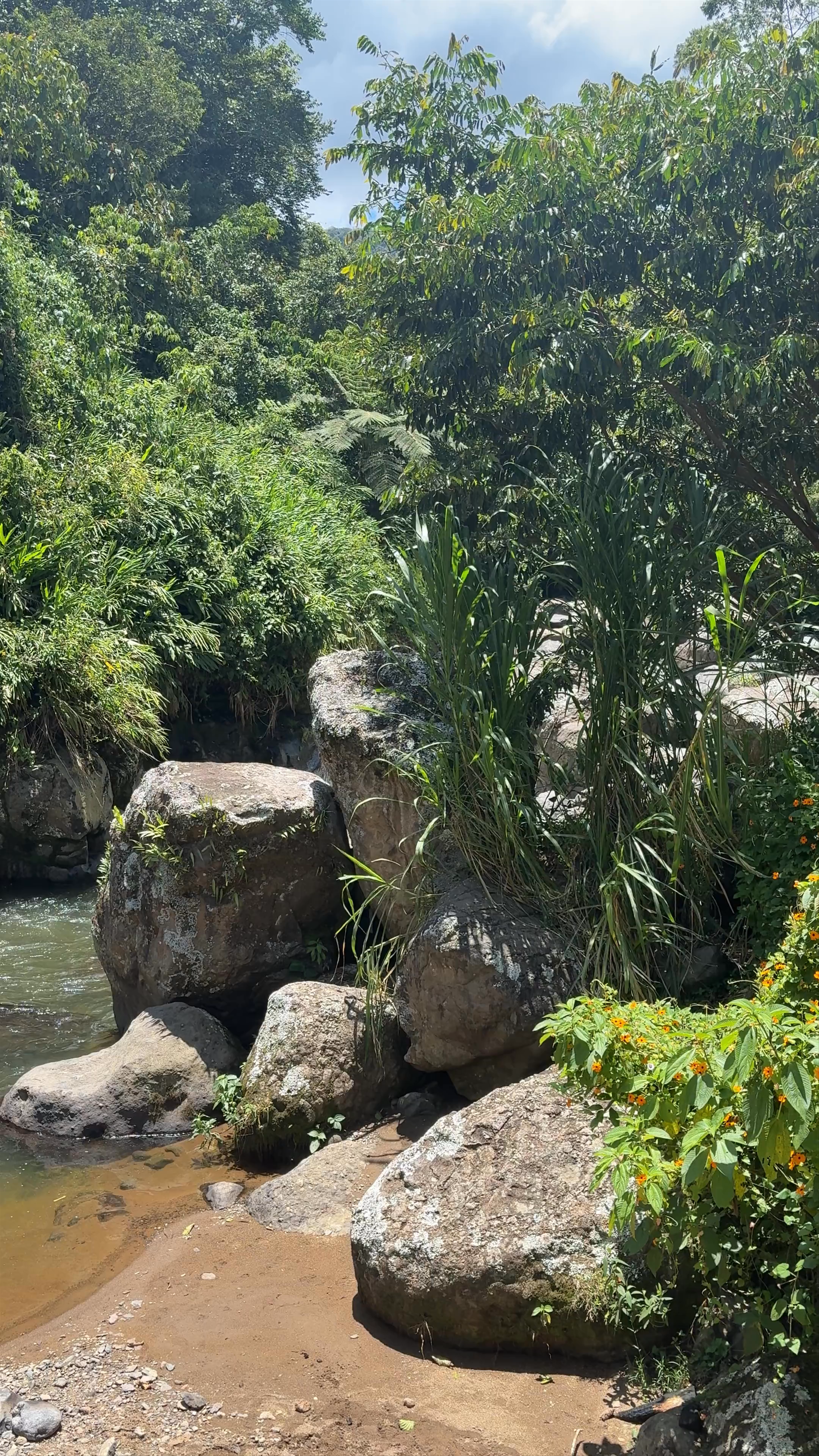 Río Volcanes: Serene Nature Escape in Jardín, Antioquia