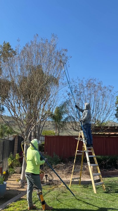 Chuck's Complete Tree Service - Tree trimmers - Tree Services Near Me - Rancho Cucamonga, California