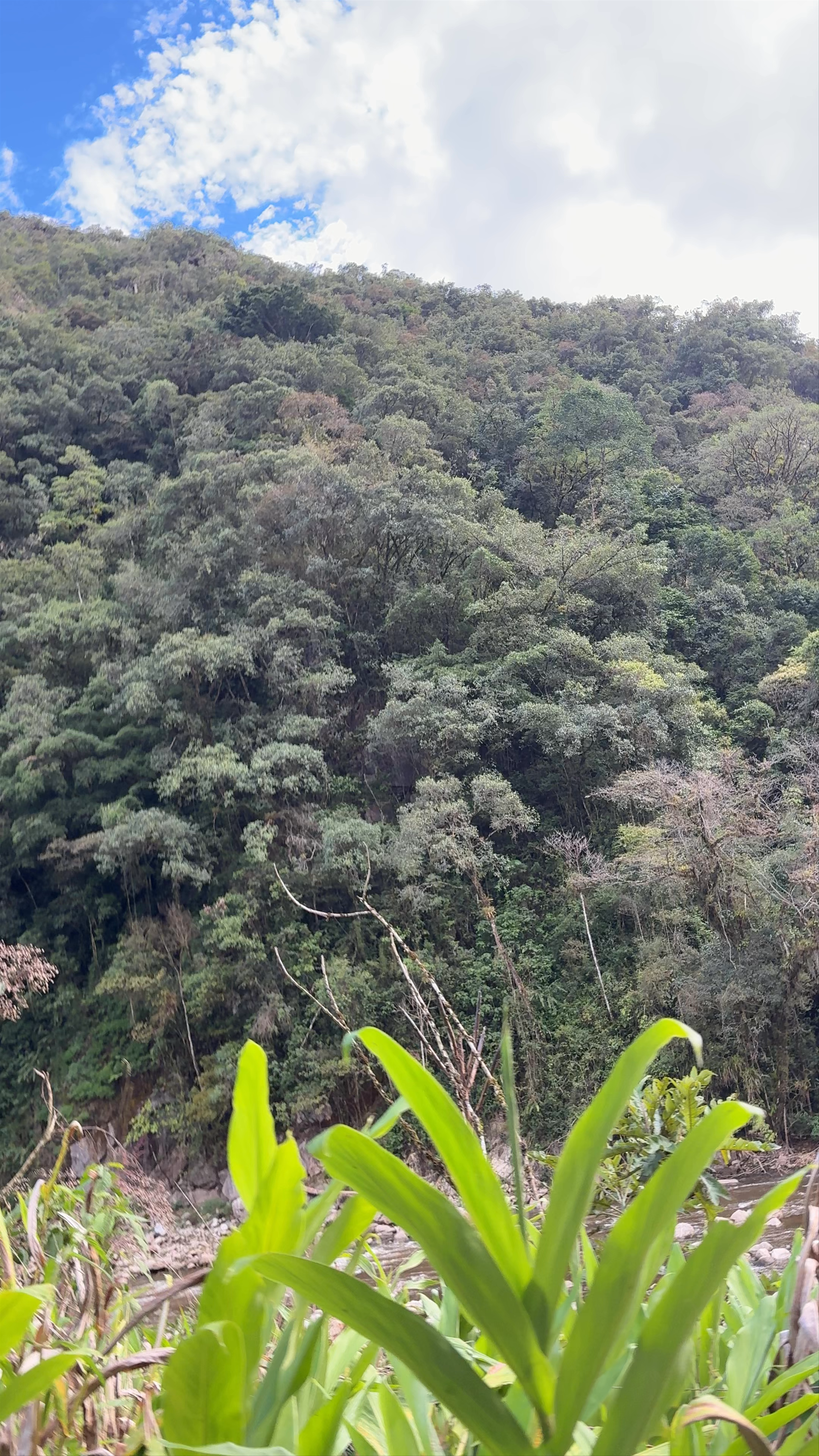 Sitio Arqueológico Inka Raqay