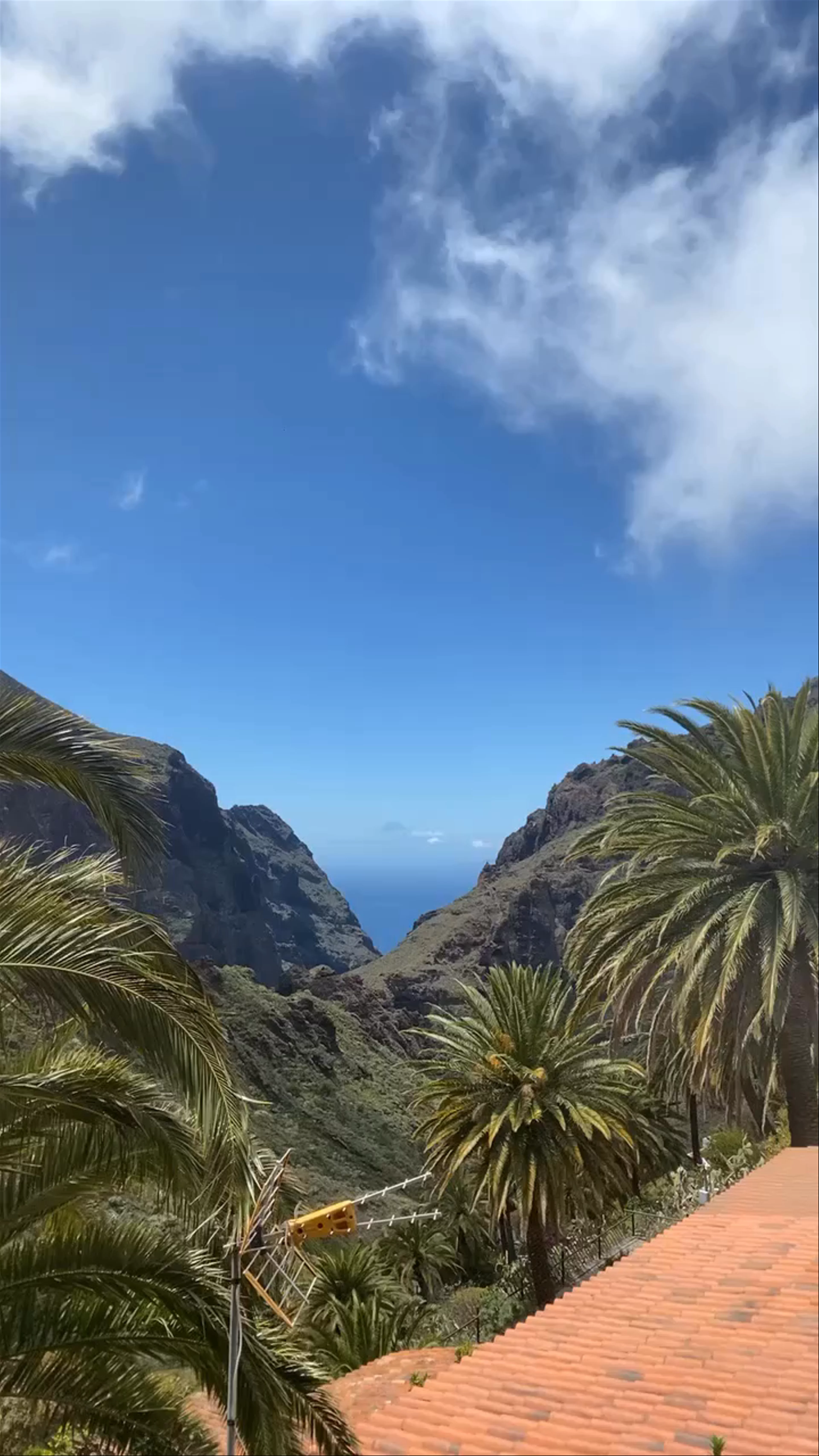 Masca