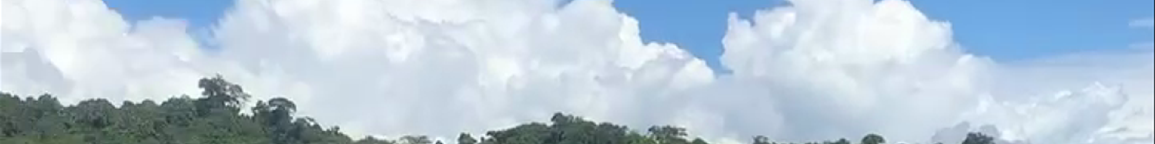 Tours & experiences in Quepos