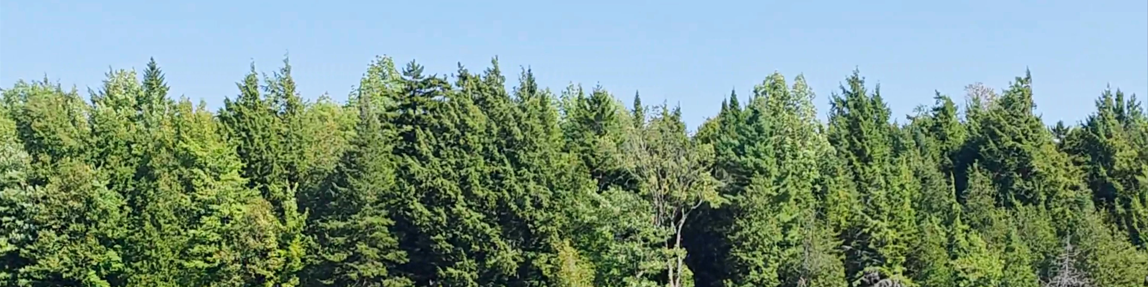 Centre de Villégiature Jouvence