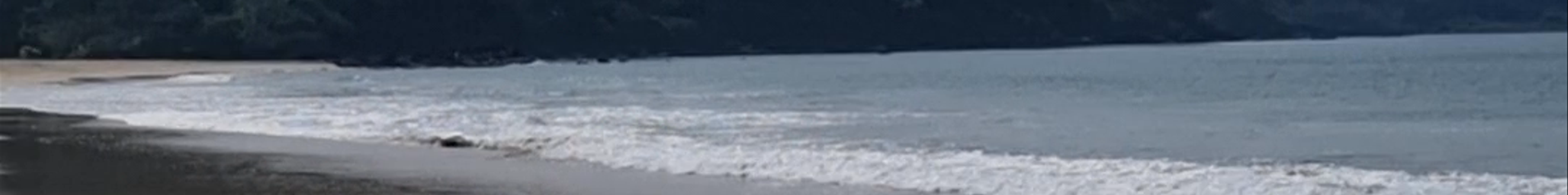 Tours & experiences in Canacona