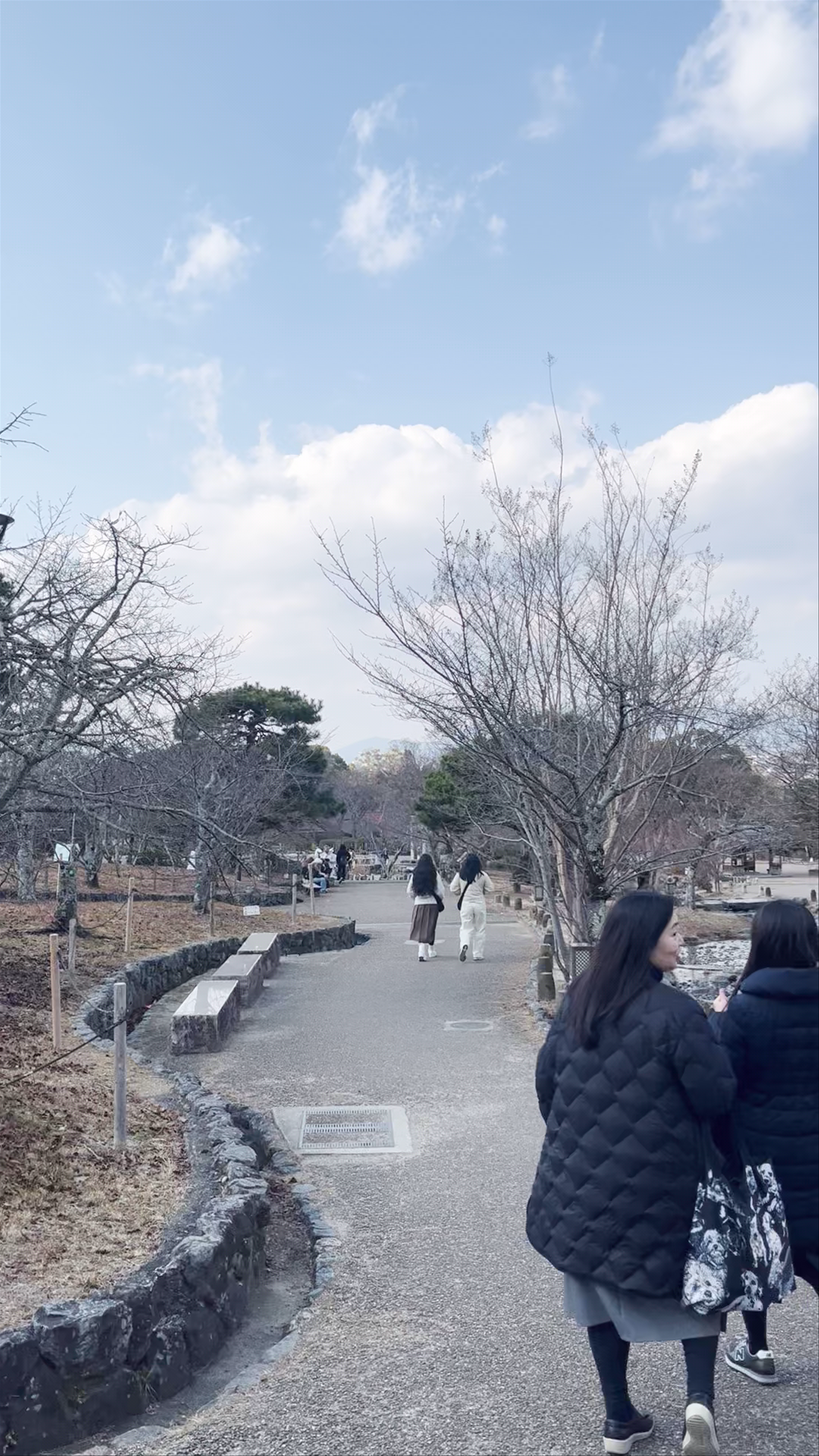 Parque Maruyama