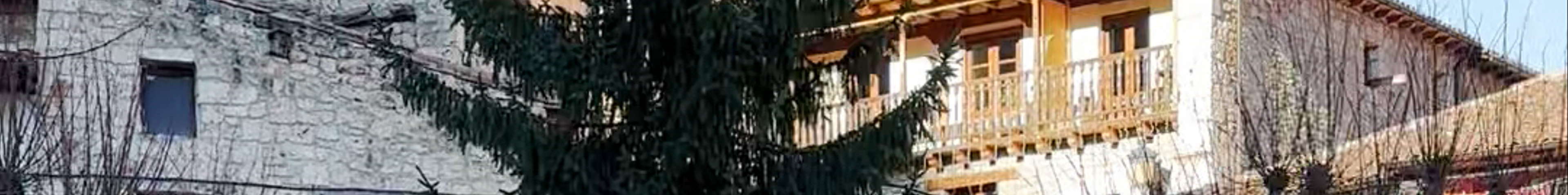 Tours & experiences in San Martín de Elines