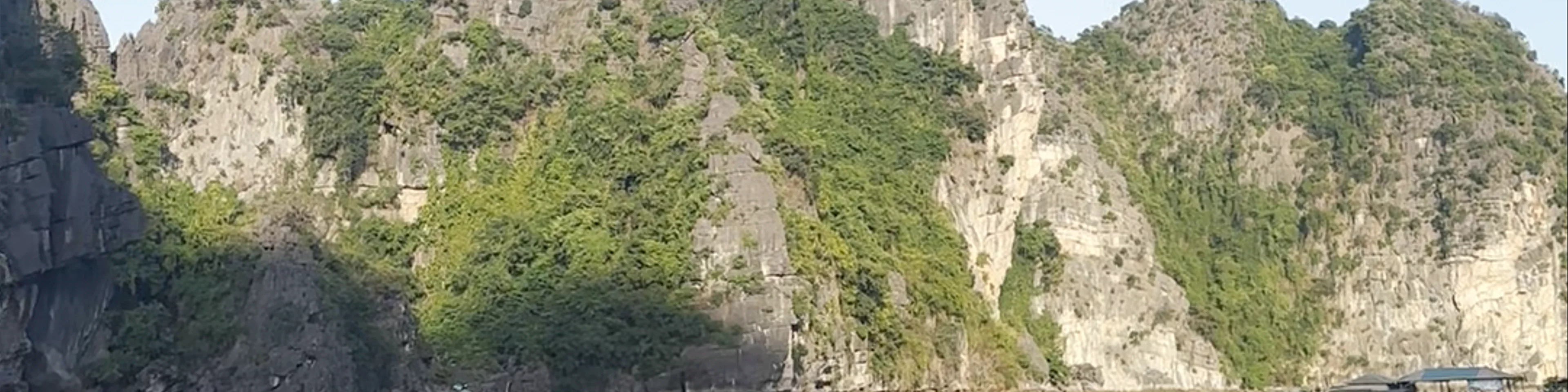 Vịnh Bái Tử Long