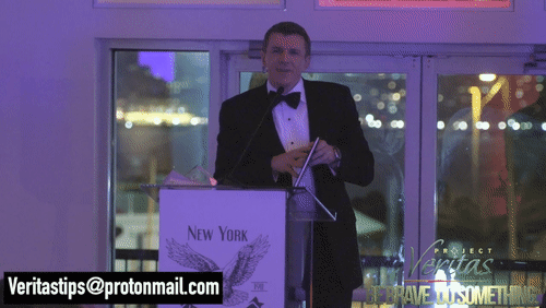 Video Thumbnail Loop