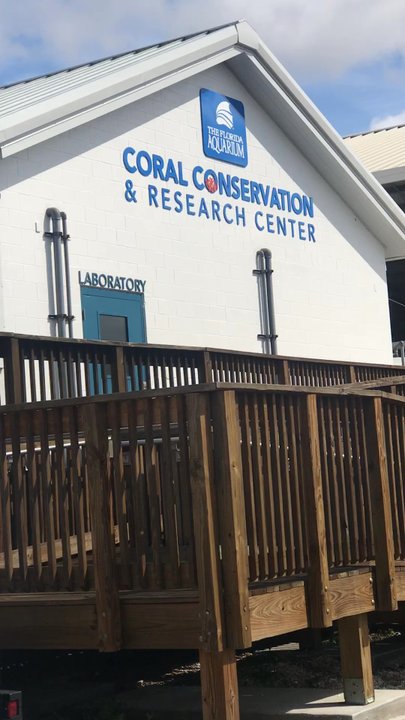 The Florida Aquarium - Aquariums Near Me - Apollo Beach, Florida