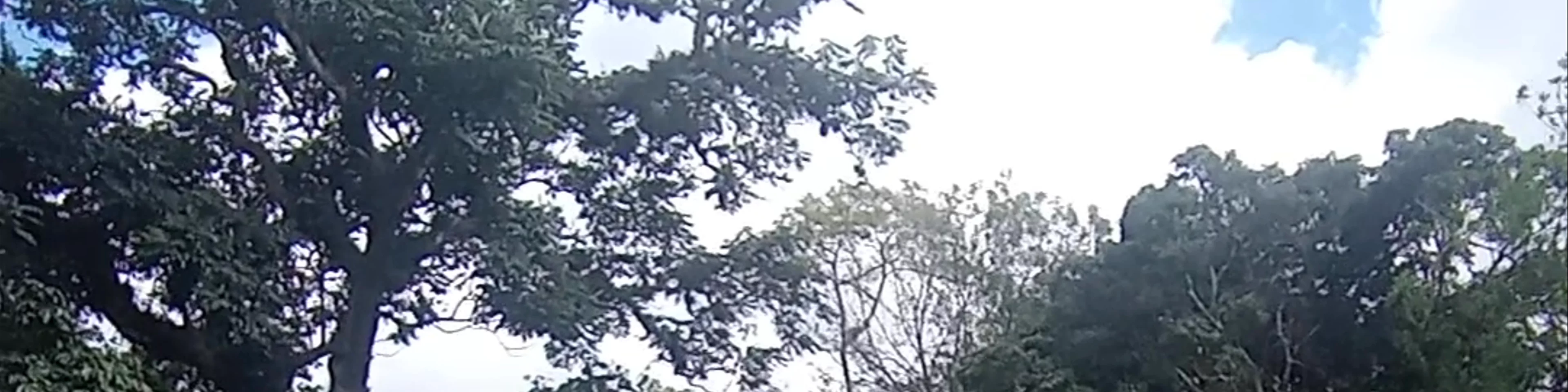Parque Nacional