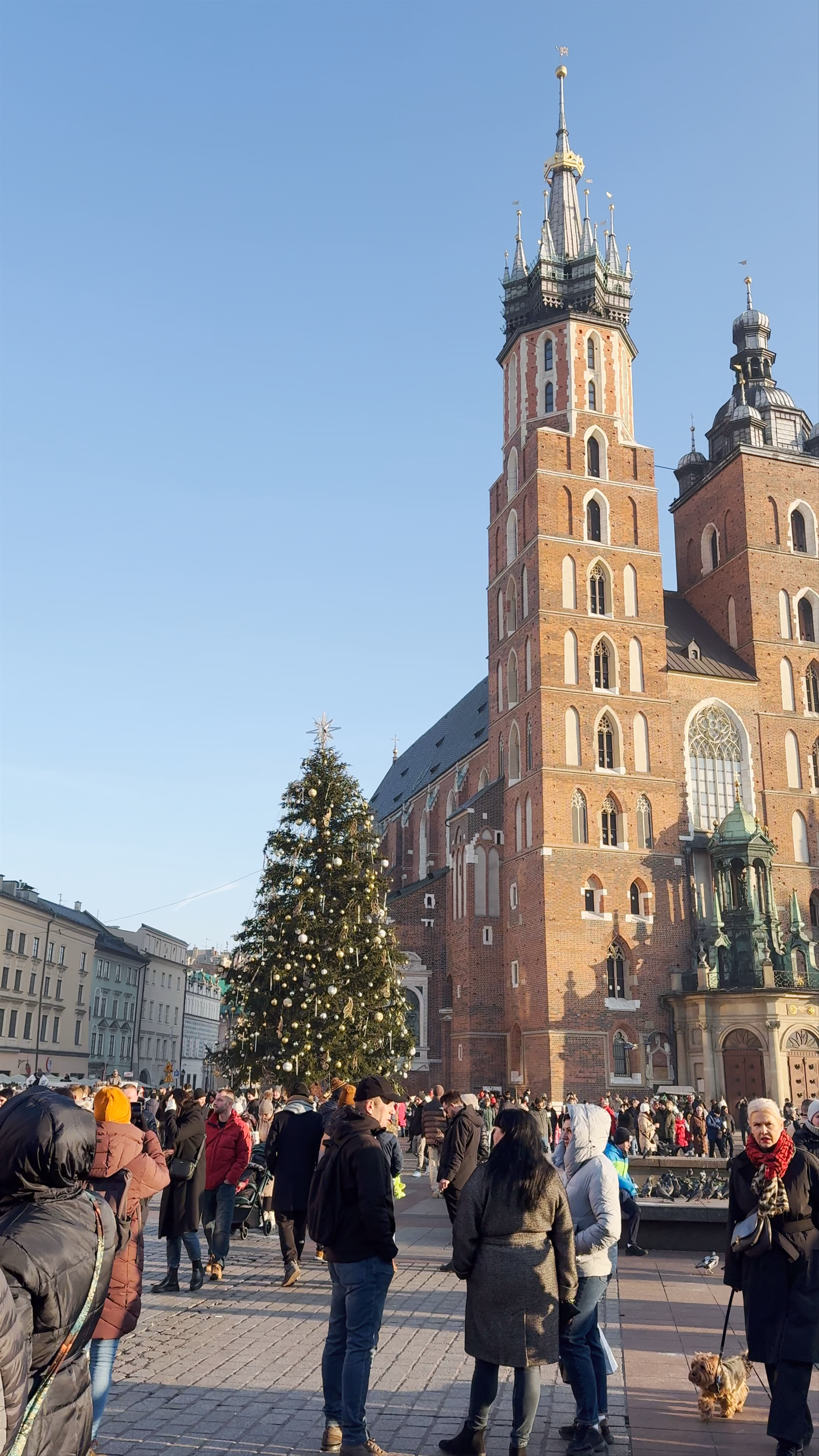 St. Mary's Basilica and Festive Vibes in Kraków's Main Square