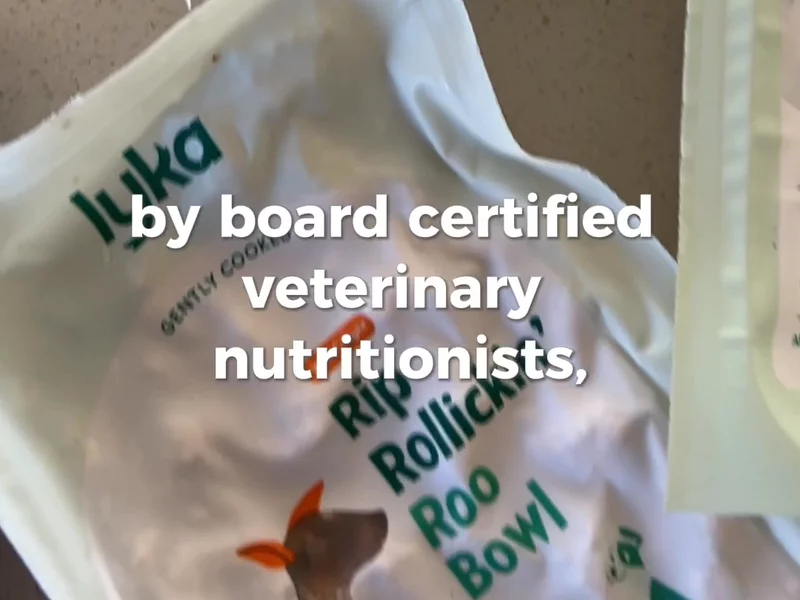 Dog Food