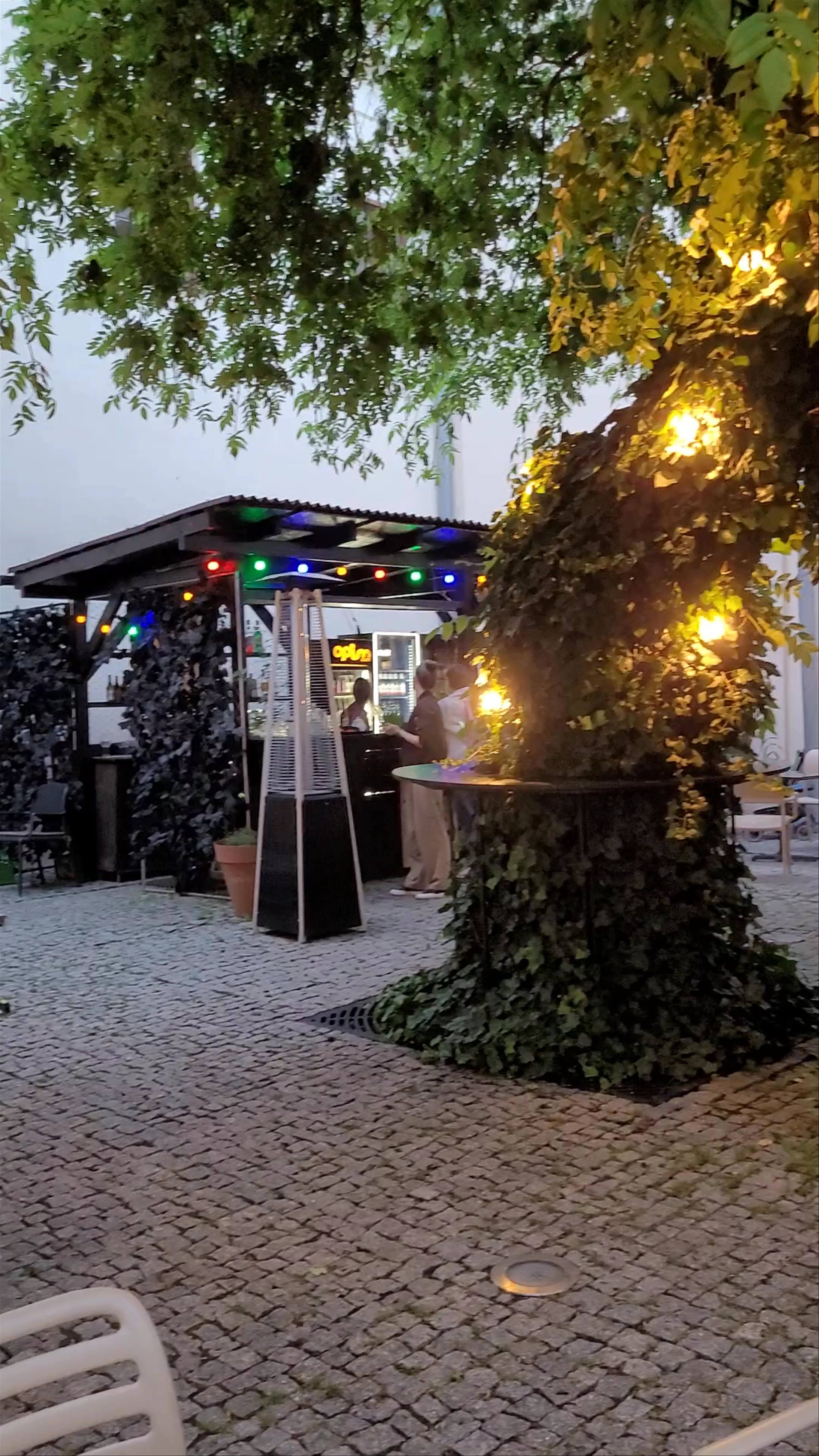 Wirydarz Centrum Kultury