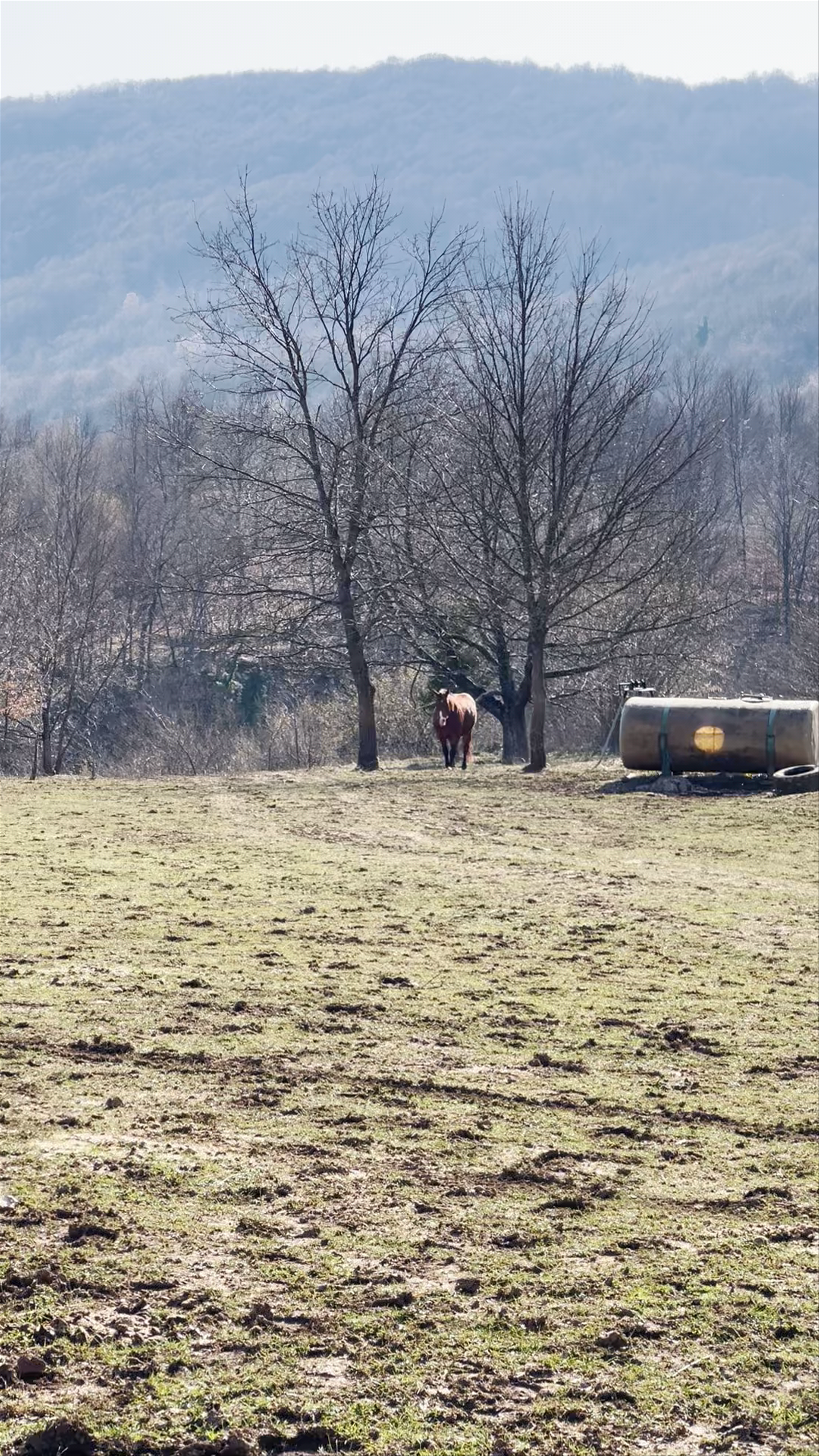 Ranch Valley Jelena / Deer Valley Ranch