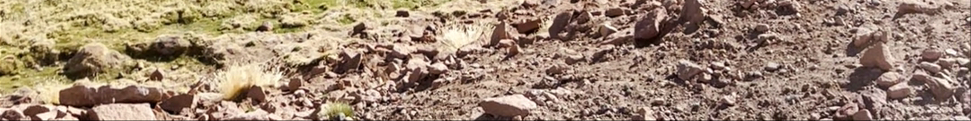 Tours & experiences in San Pedro de Atacama