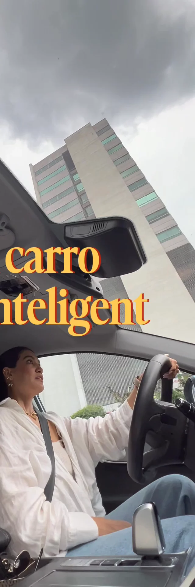 Carro Inteligente