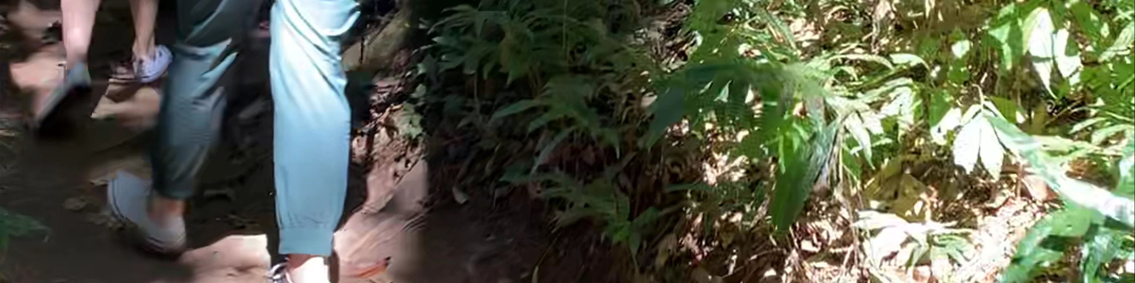 Kew Mae Pan nature trail