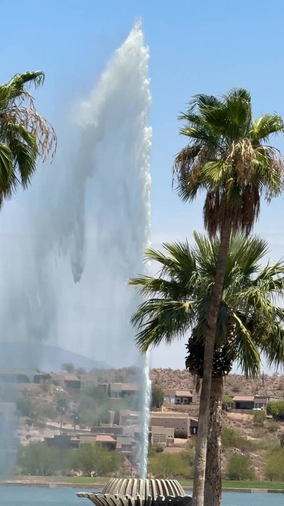 Fountain View Coffee - Coffee & Tea Near Me - Fountain Hills, Arizona