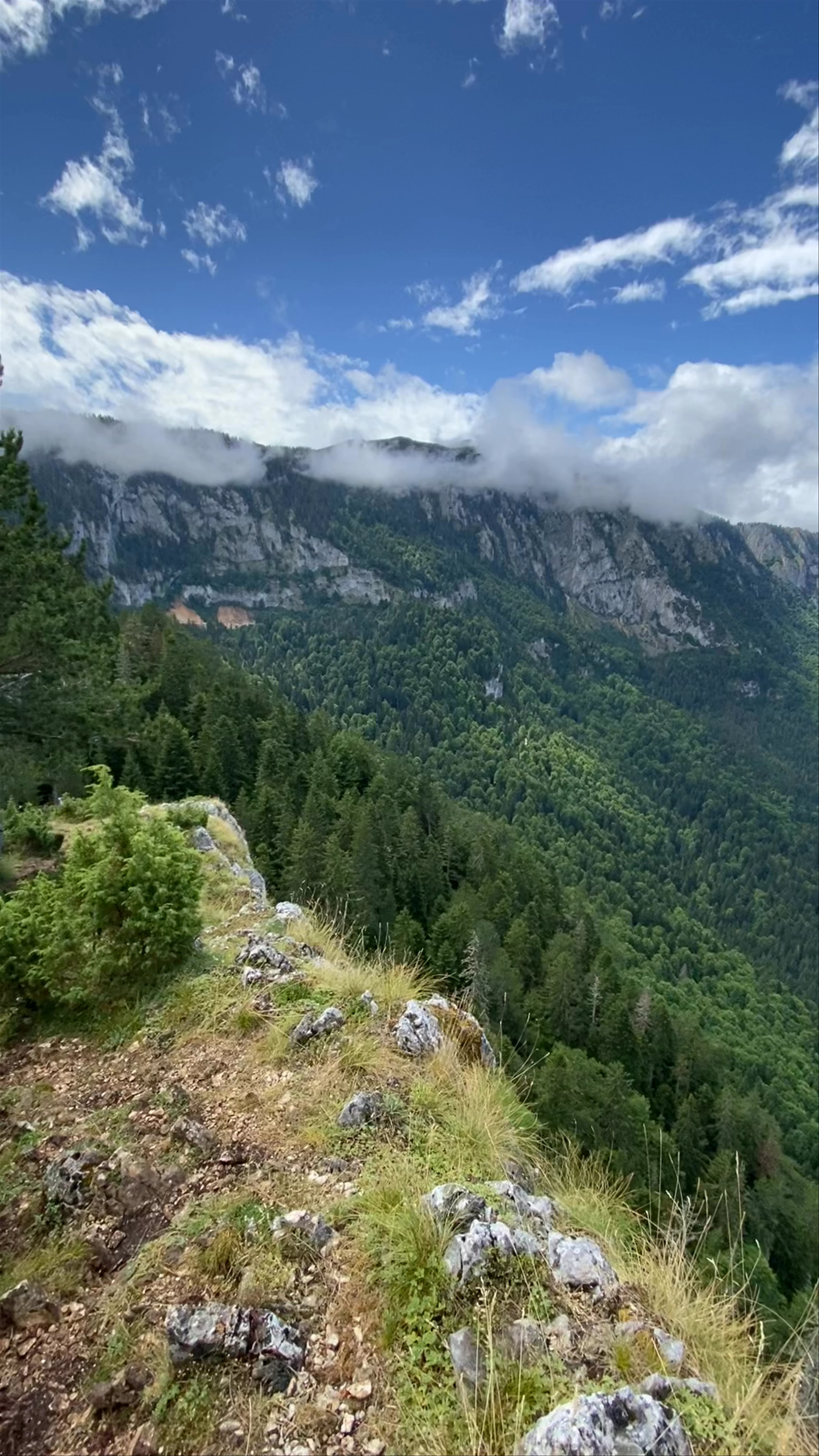 Ćurevac