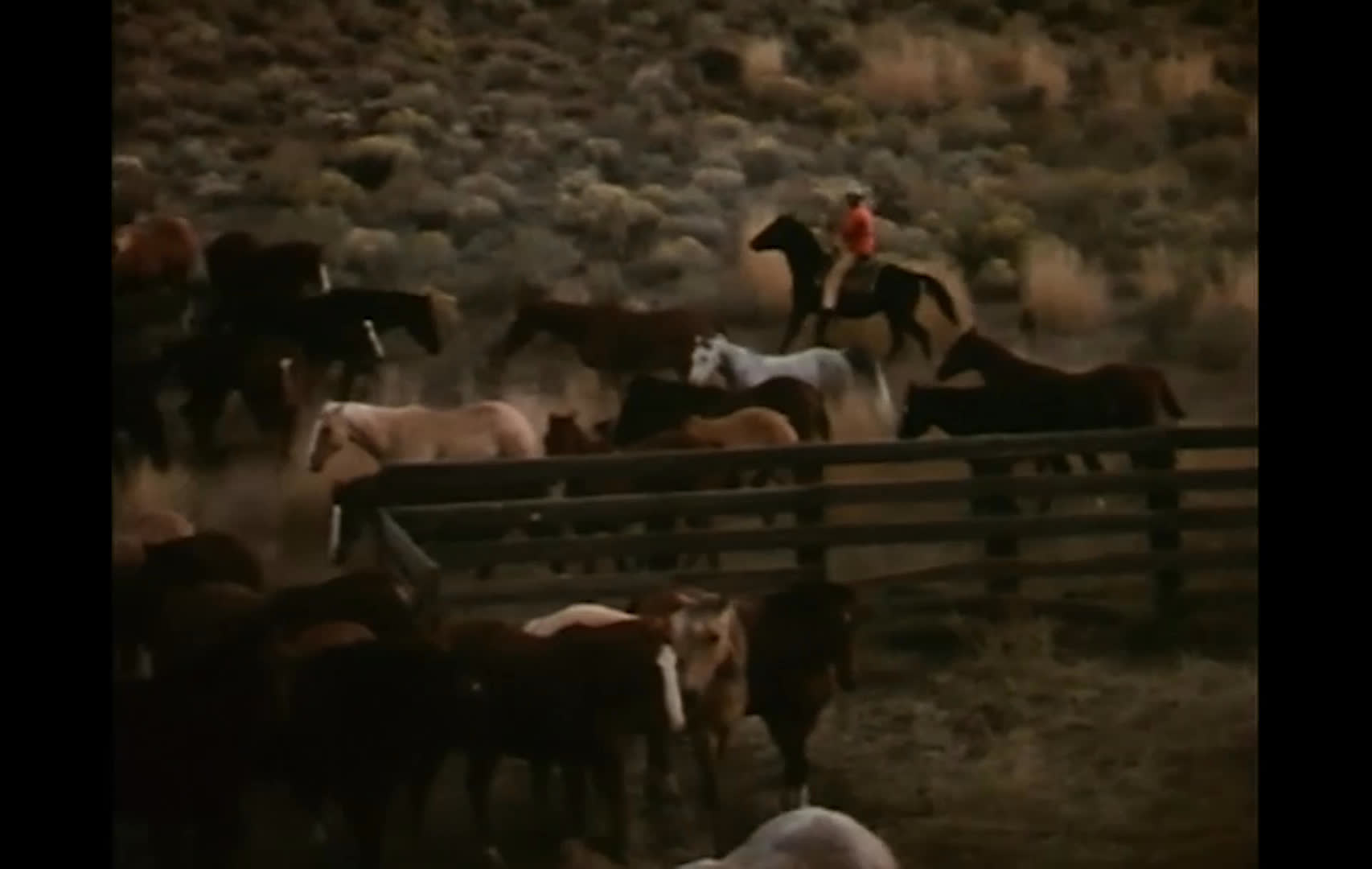 A ranch hand rides among cattle in a wooden corral and guides them across rugged open range. The herd gathers as evening light silhouettes horses, riders, and fencing against the sunset.