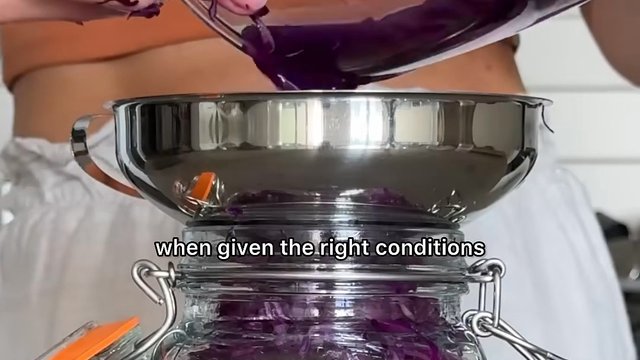 Lacto Fermentation Explained