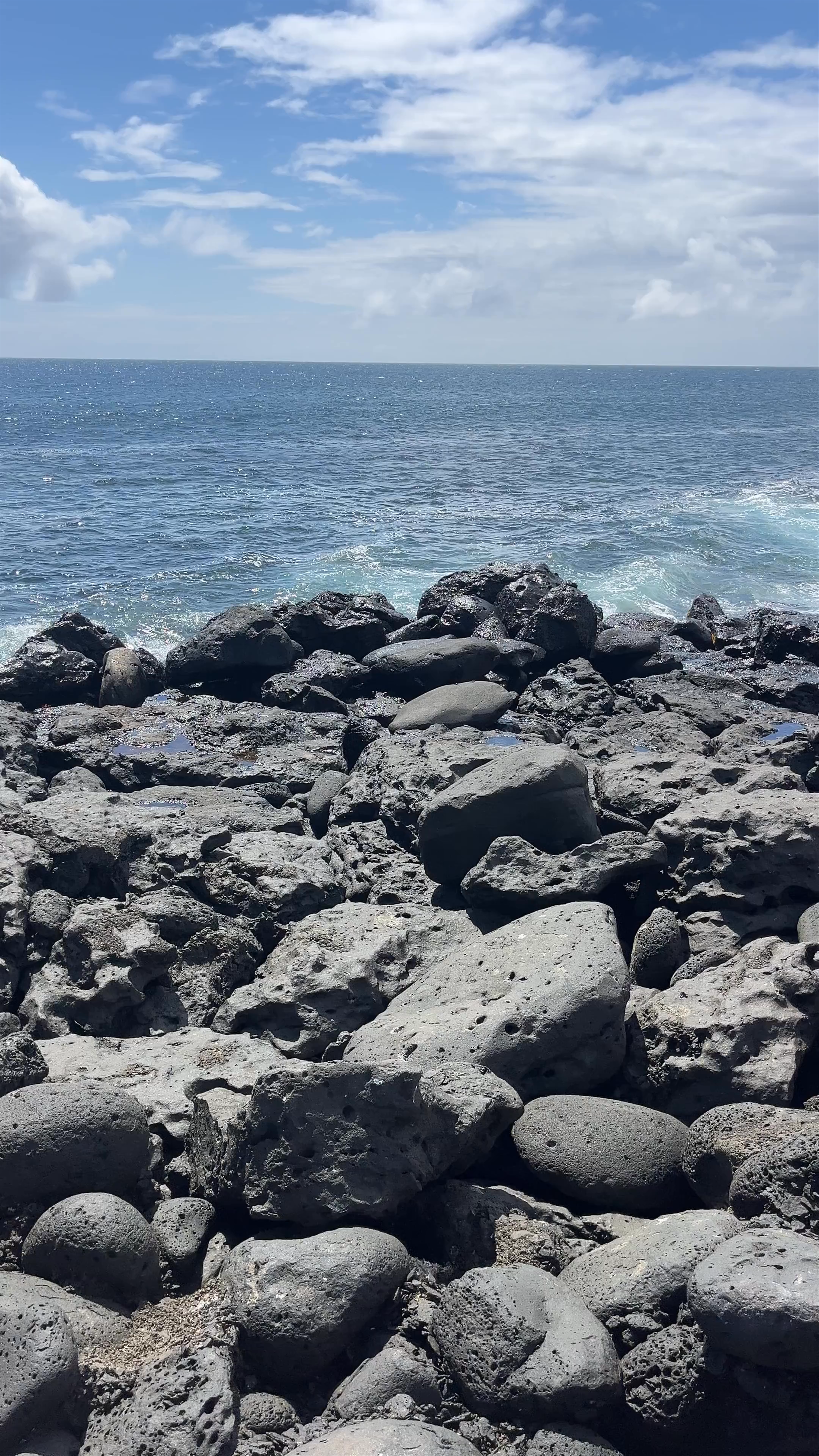 Acantilado La Loberia: Enchanting Coastal Wildlife of San Cristóbal Island, Galápagos