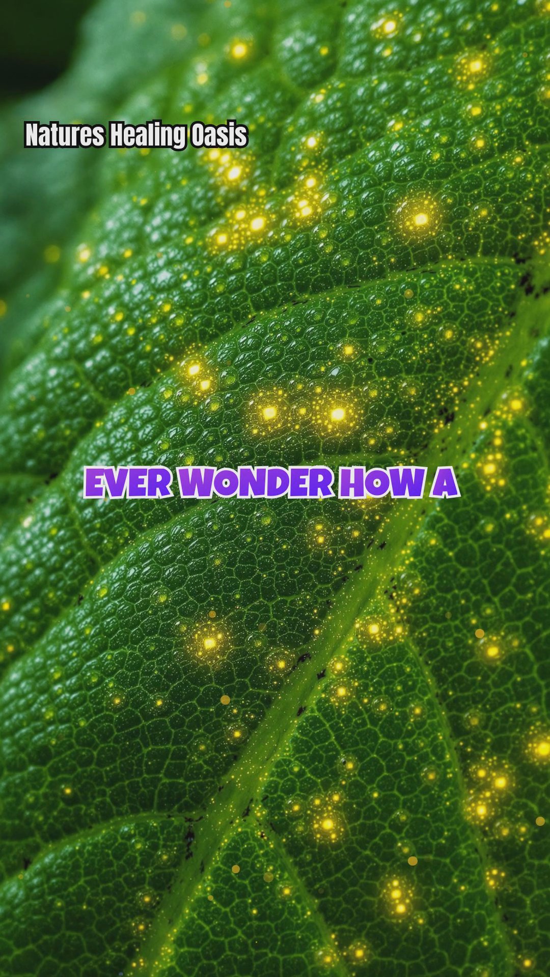 How Trees Handle Stress (And What We Can Learn)