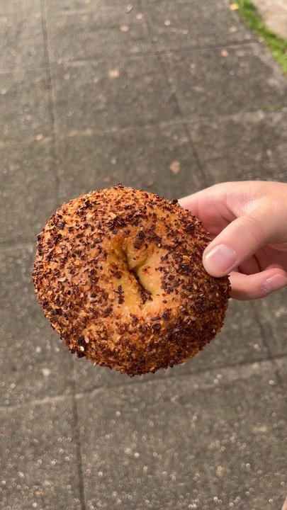 Mt. Bagel - Onion bagel - Bagels Near Me - Seattle, Washington