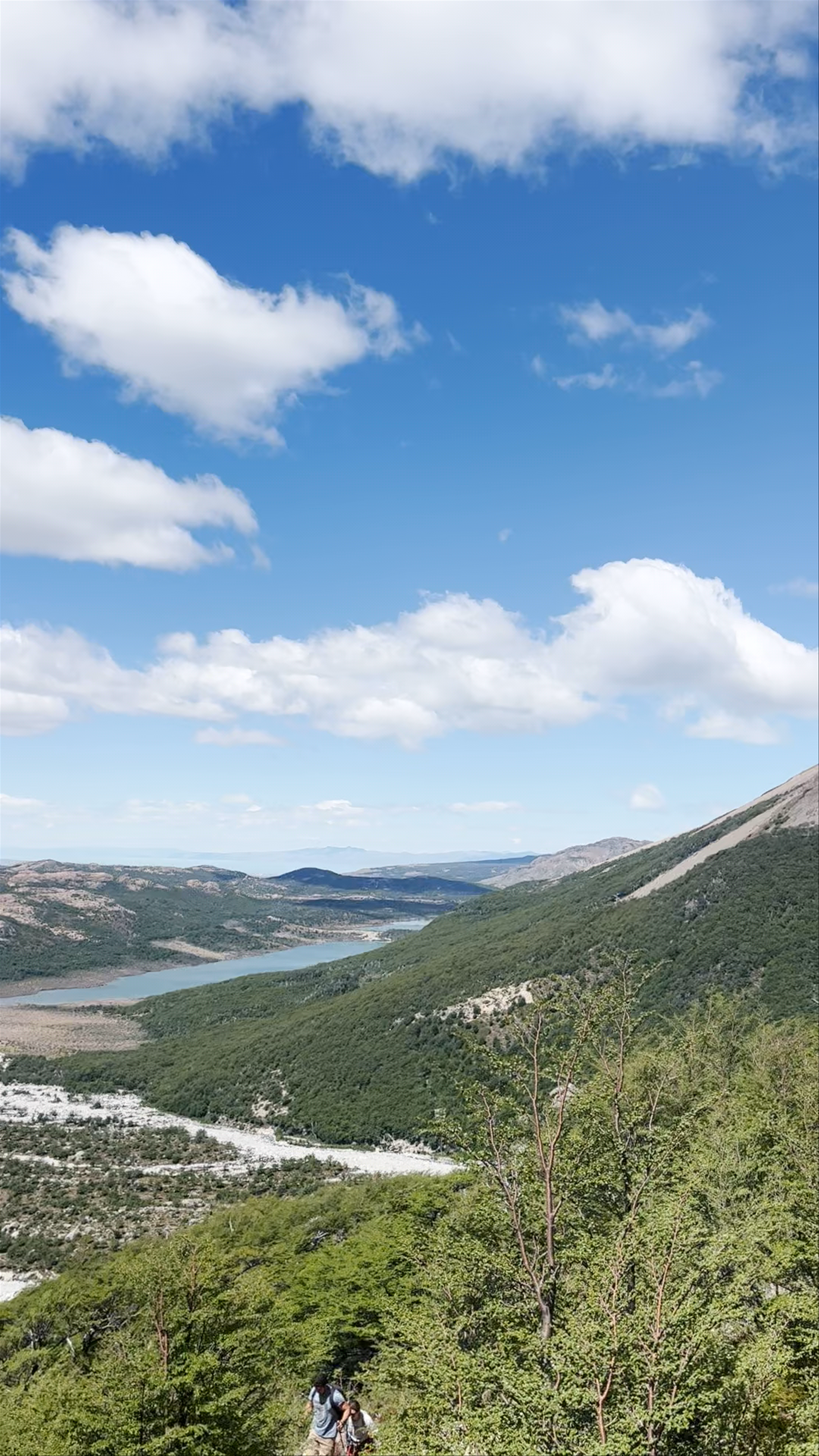 península de Magallanes