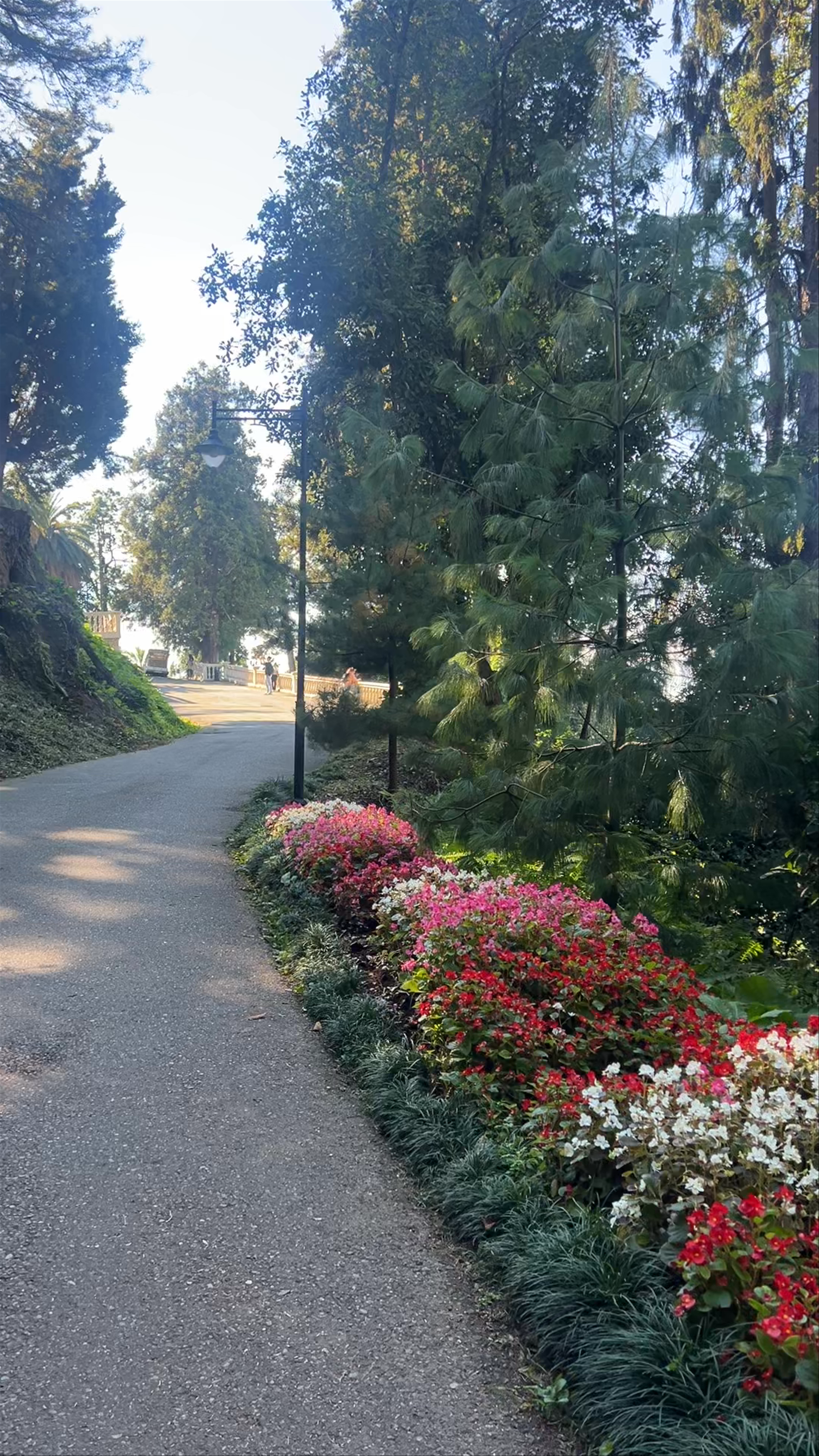 Botanical Garden Beach Walk in Batumi, Georgia