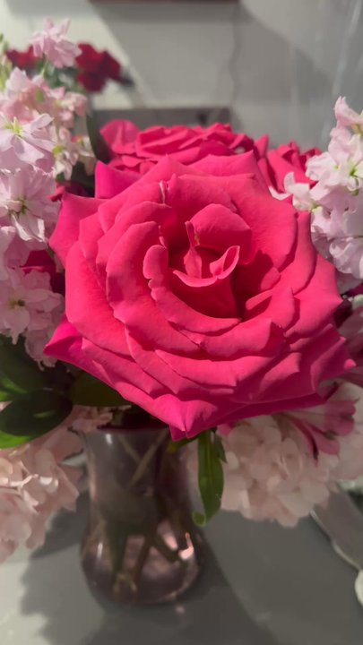 OMG Flower Boutique - Video of rose - Florists Near Me - Boynton Beach, Florida