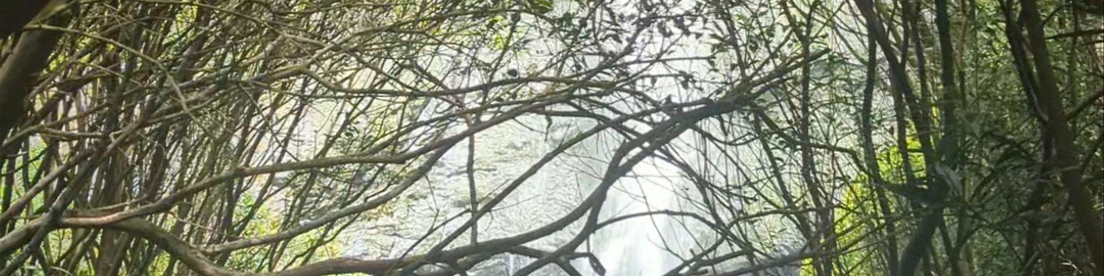 Cascade de Fautaua