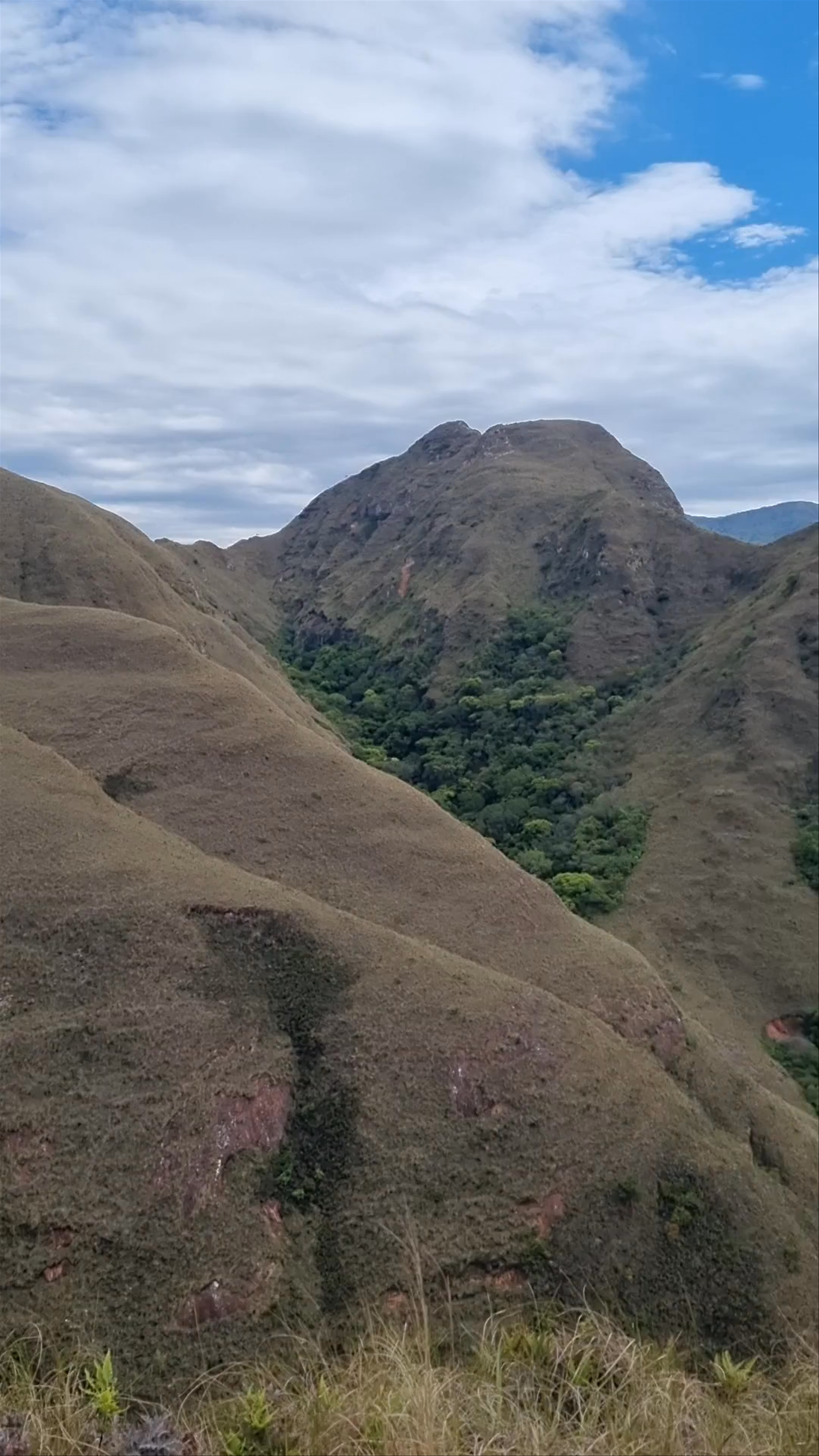 Codo de los andes Bellavista