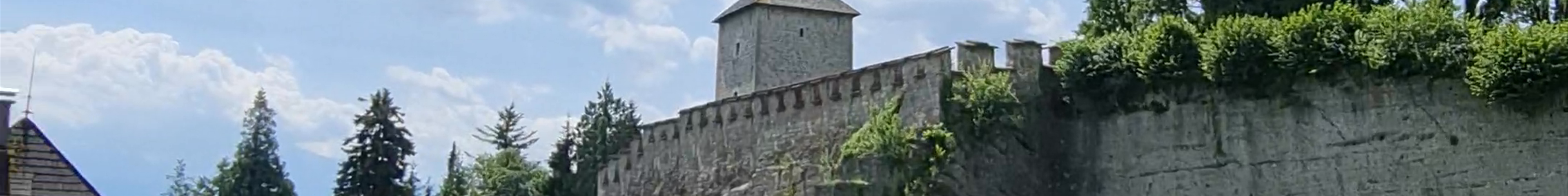 Tours & experiences in Salzburg