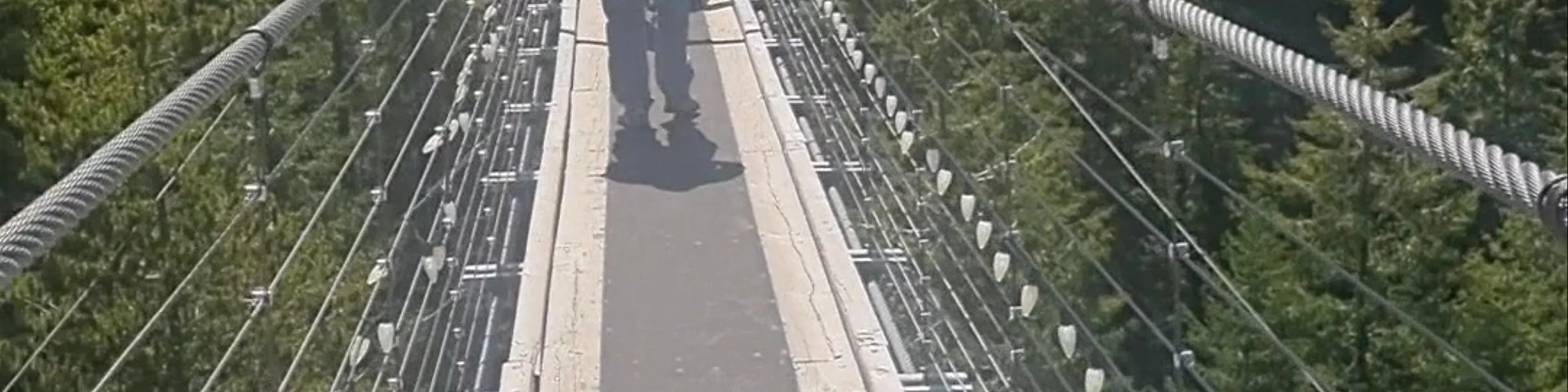 Sky Pilot Suspension Bridge