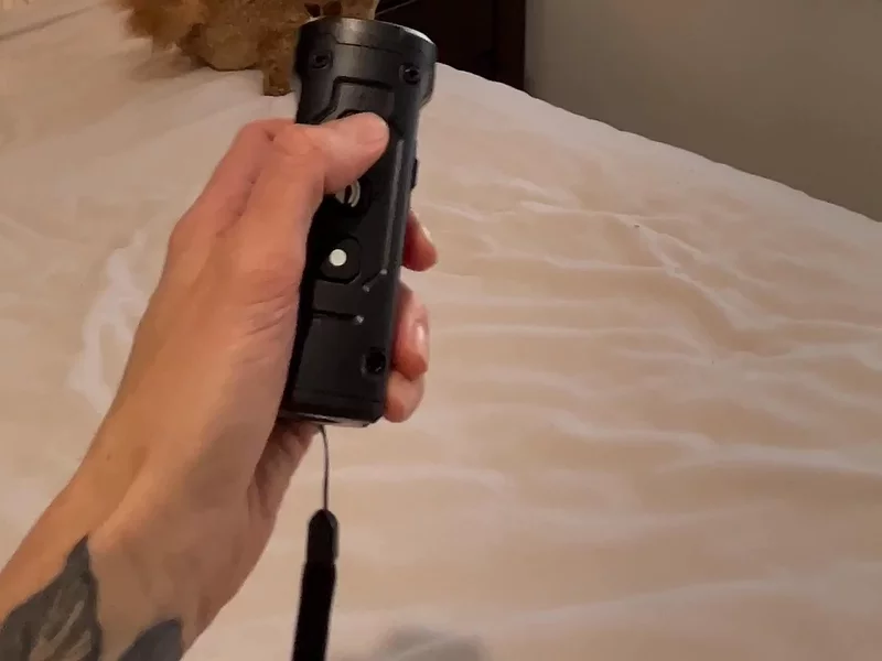 Calm K9 Pro Training Device