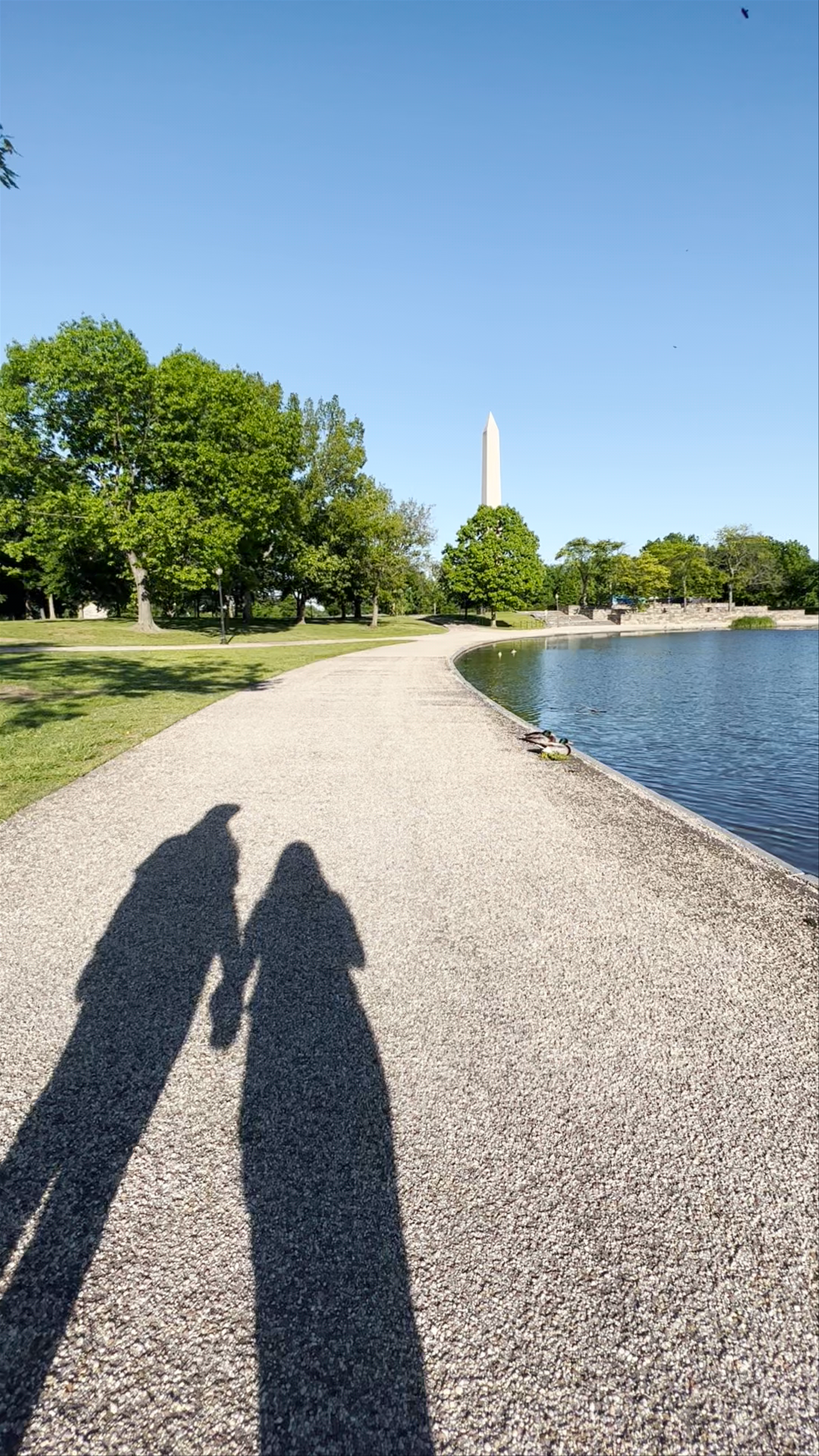 Serene Stroll by the Washington Monument at Constitution Gardens