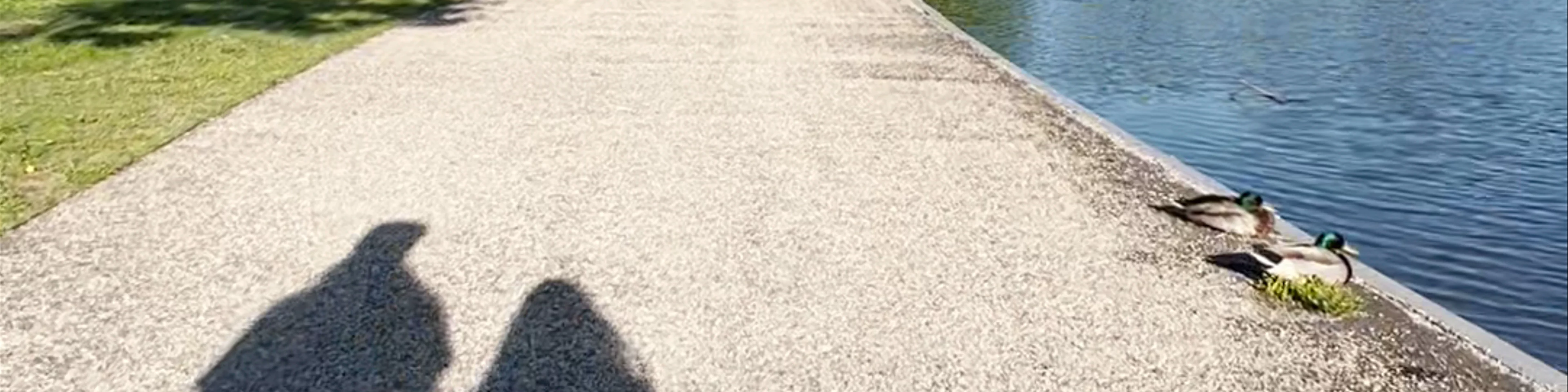 Constitution Gardens